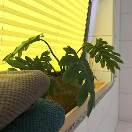 Apartment Gemuetliches Mit Eigener Terrasse *