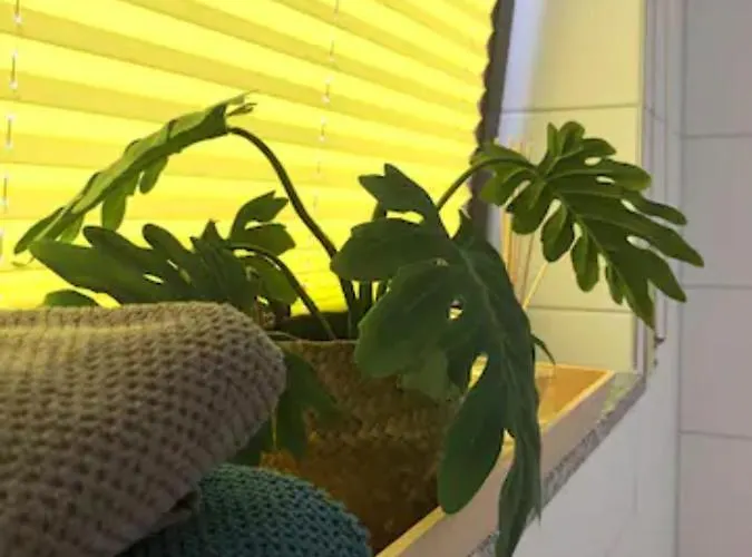 Lejlighed Gemuetliches Mit Eigener Terrasse *